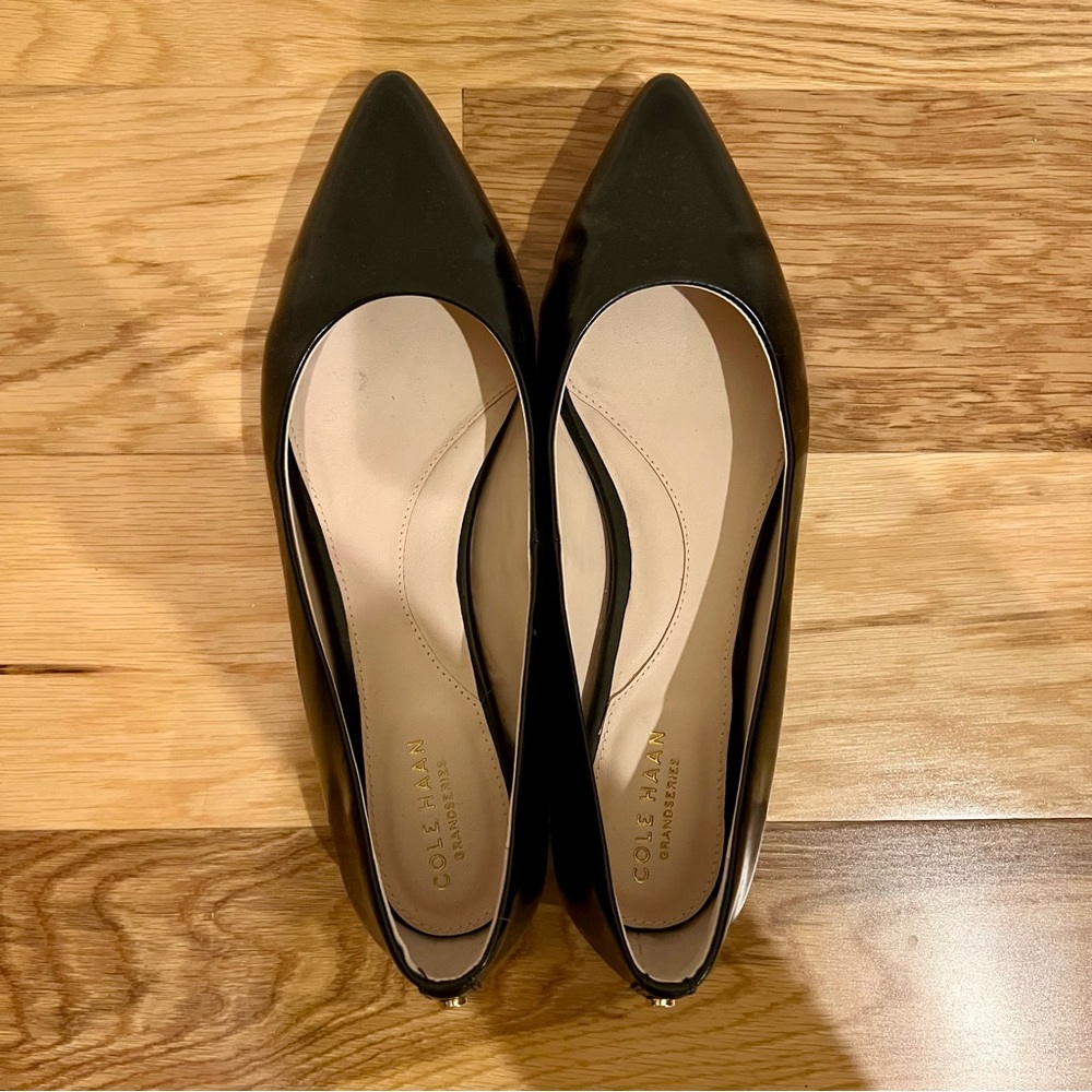 Cole Haan Genuine Leather Pointed Toe Flats